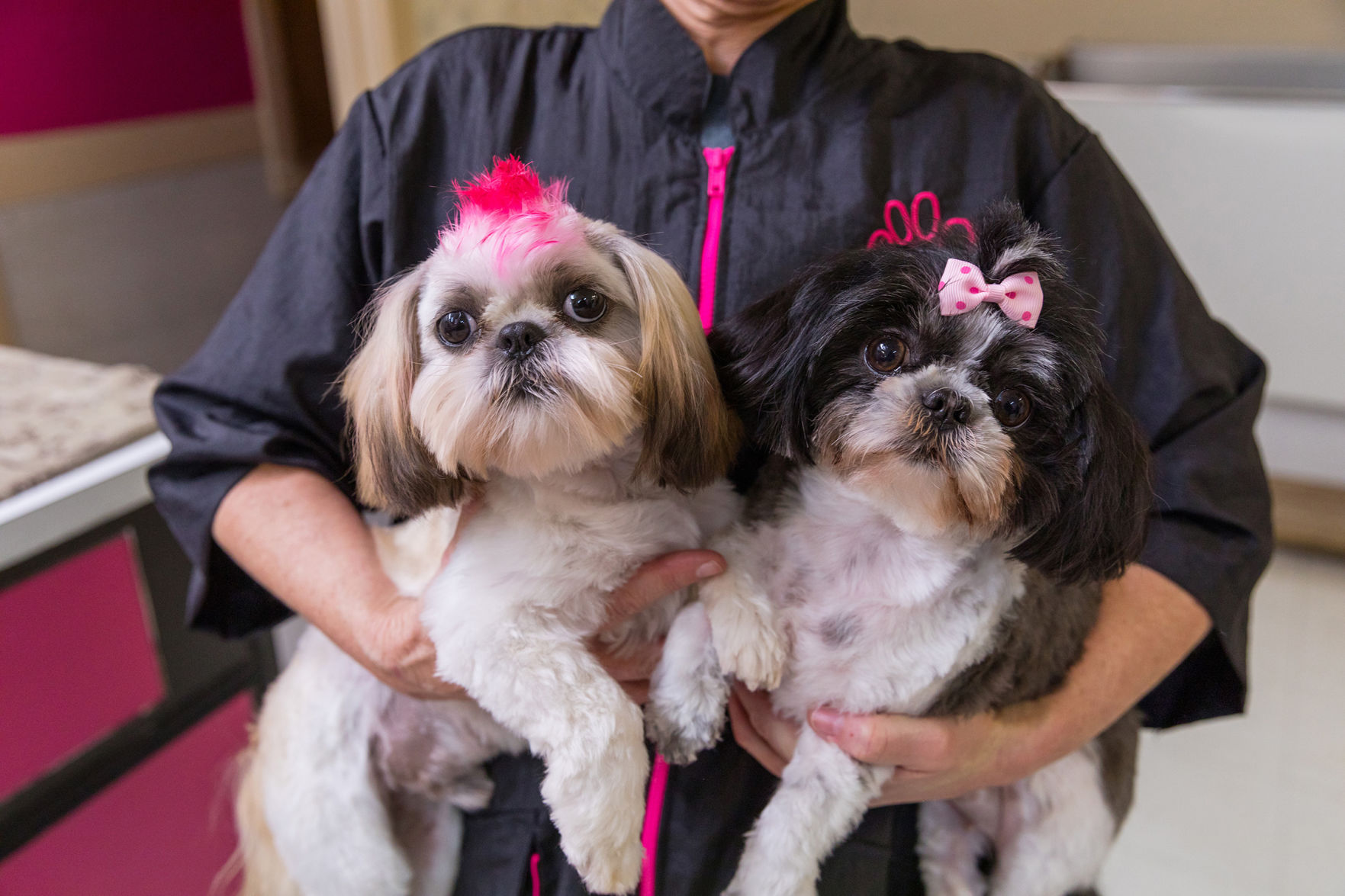 The Pet Beauty Shop